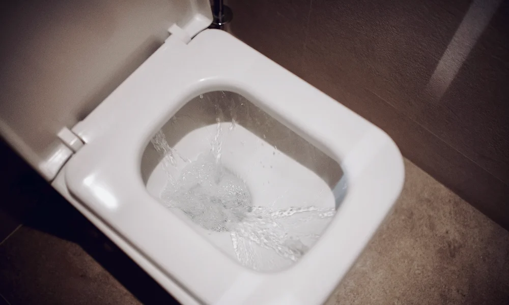 when i flush my toilet my sink gurgles